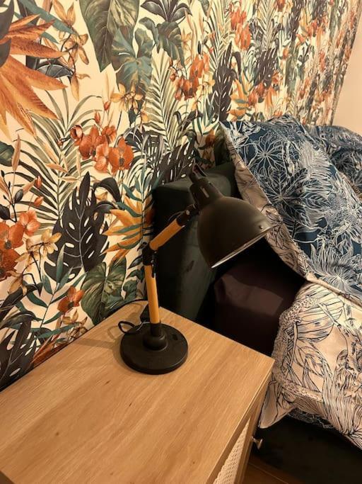 カルカソンヌLe Floralアパートメント エクステリア 写真